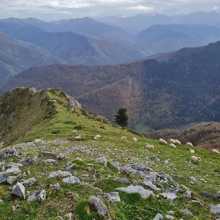 La Ferme De La Soula *