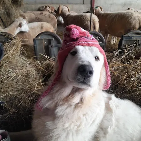 农家乐 La Ferme De La Soula