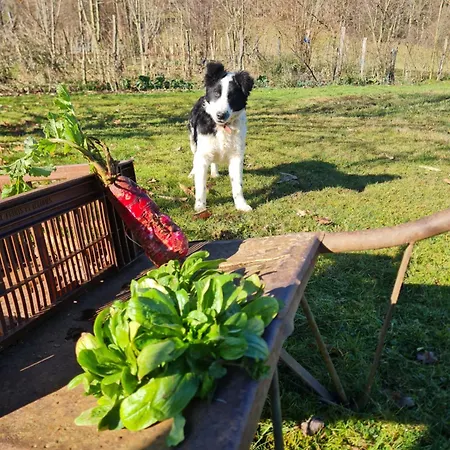 La Ferme De La Soula 农家乐