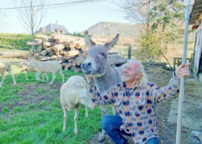 La Ferme De La Soula Feriegård Lombrès