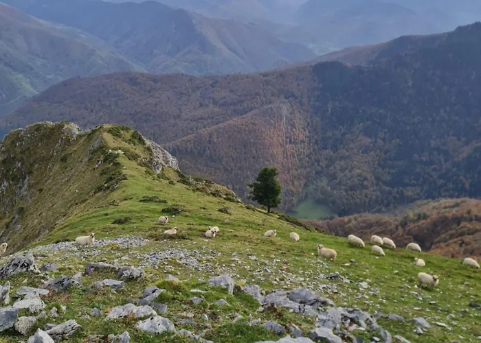 La Ferme De La Soula *